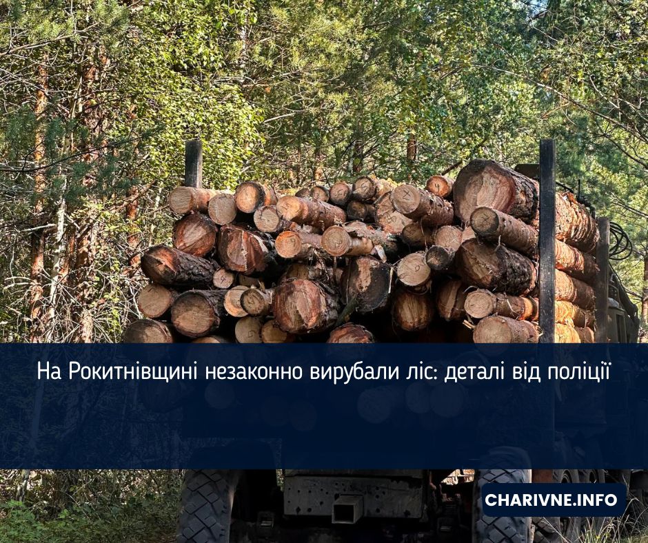 На Рокитнівщині незаконно вирубали ліс: деталі від поліції